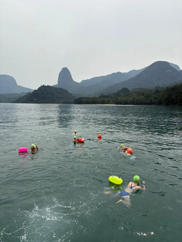 5 person swimming on river