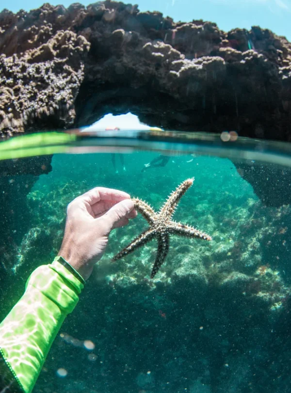 During this morning swim we found a starfish