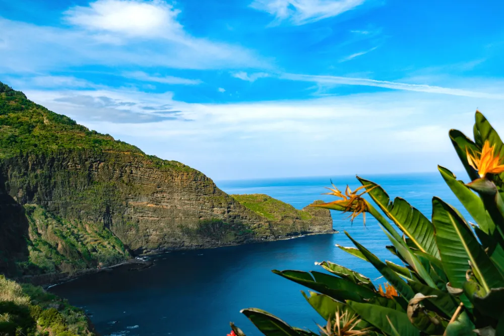 Swim Camp Azores (Faial + Pico + São Jorge) day 2 azores