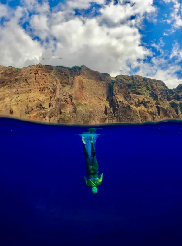 madeira gallery 3