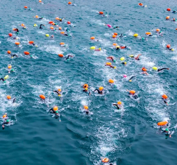 swim together swimgp official training session 2